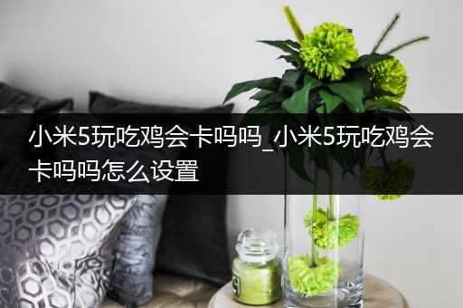 小米5玩吃鸡会卡吗吗_小米5玩吃鸡会卡吗吗怎么设置