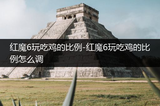 红魔6玩吃鸡的比例-红魔6玩吃鸡的比例怎么调