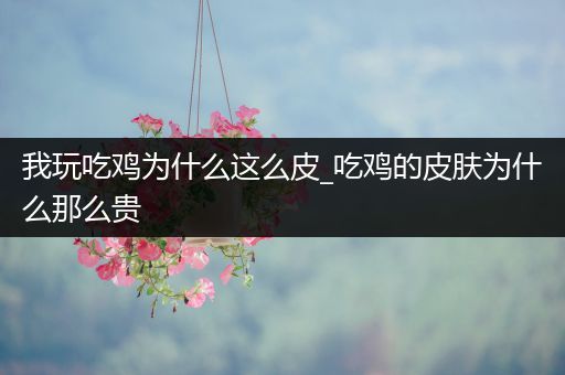 我玩吃鸡为什么这么皮_吃鸡的皮肤为什么那么贵