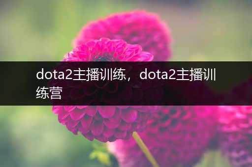 dota2主播训练，dota2主播训练营