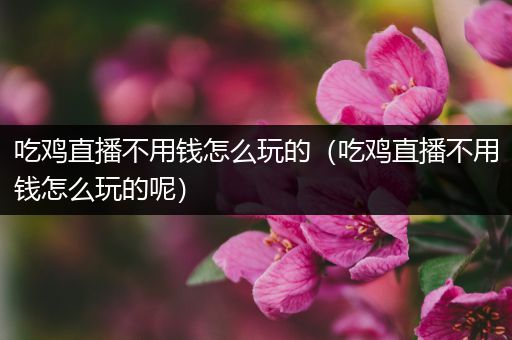 吃鸡直播不用钱怎么玩的（吃鸡直播不用钱怎么玩的呢）