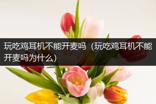 玩吃鸡耳机不能开麦吗（玩吃鸡耳机不能开麦吗为什么）