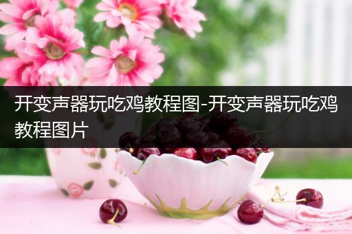开变声器玩吃鸡教程图-开变声器玩吃鸡教程图片