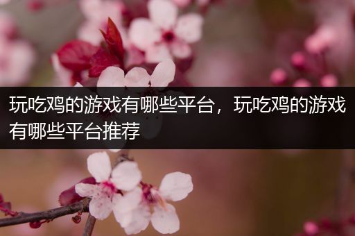 玩吃鸡的游戏有哪些平台，玩吃鸡的游戏有哪些平台推荐