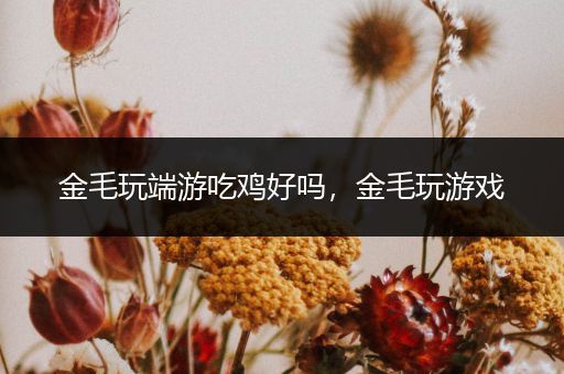 金毛玩端游吃鸡好吗，金毛玩游戏