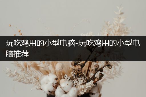玩吃鸡用的小型电脑-玩吃鸡用的小型电脑推荐