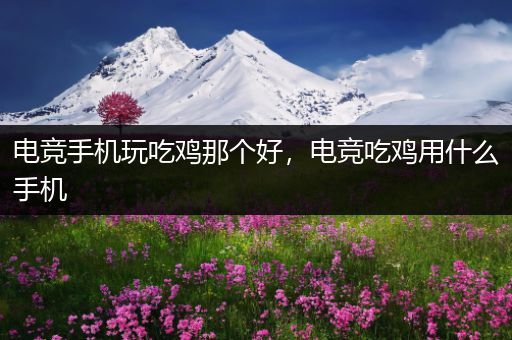 电竞手机玩吃鸡那个好，电竞吃鸡用什么手机