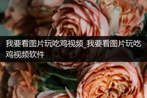 我要看图片玩吃鸡视频_我要看图片玩吃鸡视频软件