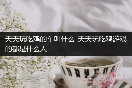 天天玩吃鸡的车叫什么_天天玩吃鸡游戏的都是什么人