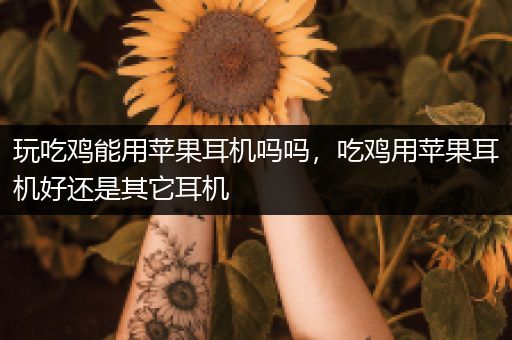 玩吃鸡能用苹果耳机吗吗，吃鸡用苹果耳机好还是其它耳机