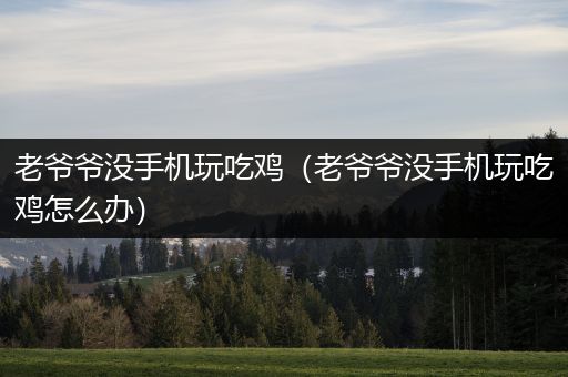 老爷爷没手机玩吃鸡（老爷爷没手机玩吃鸡怎么办）