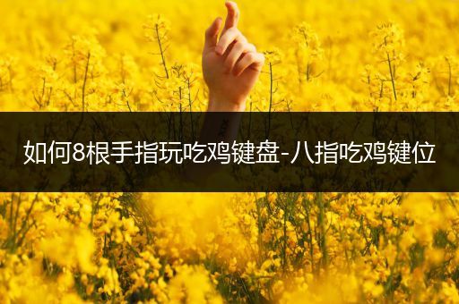 如何8根手指玩吃鸡键盘-八指吃鸡键位