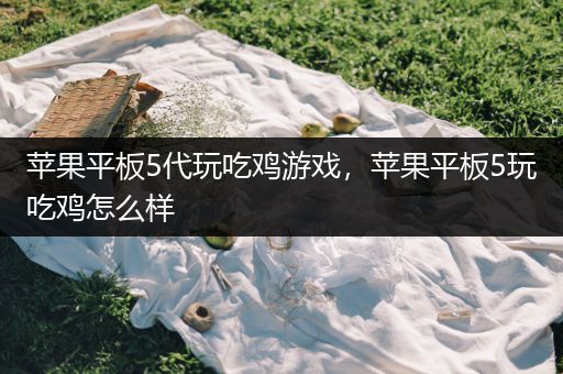 苹果平板5代玩吃鸡游戏，苹果平板5玩吃鸡怎么样