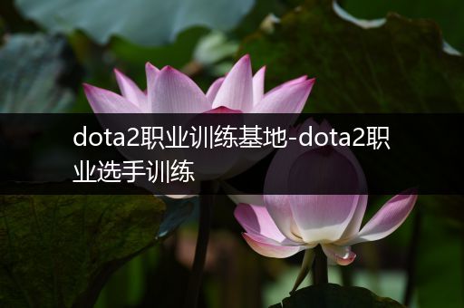 dota2职业训练基地-dota2职业选手训练