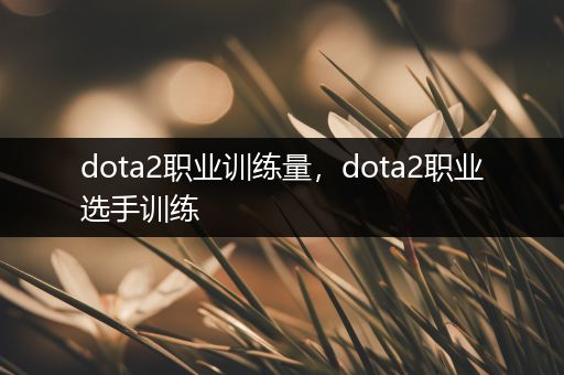 dota2职业训练量，dota2职业选手训练