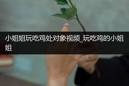 小姐姐玩吃鸡处对象视频_玩吃鸡的小姐姐