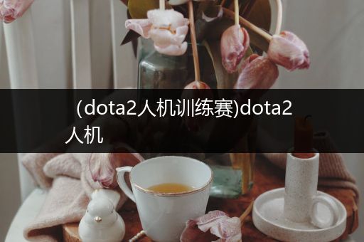 （dota2人机训练赛)dota2 人机