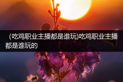 （吃鸡职业主播都是谁玩)吃鸡职业主播都是谁玩的