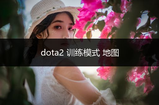 dota2 训练模式 地图