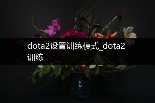 dota2设置训练模式_dota2 训练