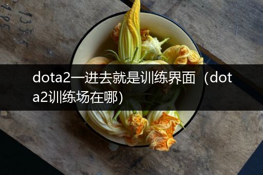 dota2一进去就是训练界面（dota2训练场在哪）