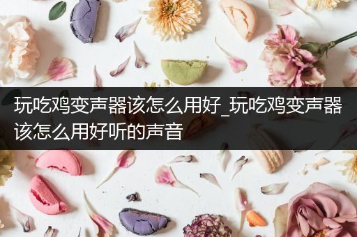 玩吃鸡变声器该怎么用好_玩吃鸡变声器该怎么用好听的声音