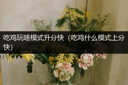 吃鸡玩啥模式升分快（吃鸡什么模式上分快）