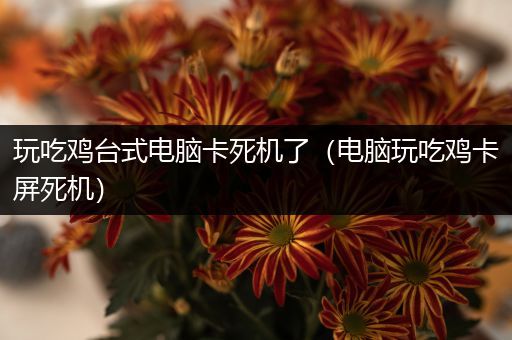 玩吃鸡台式电脑卡死机了（电脑玩吃鸡卡屏死机）