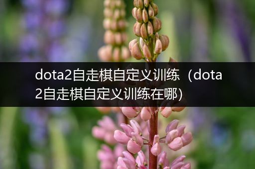 dota2自走棋自定义训练（dota2自走棋自定义训练在哪）