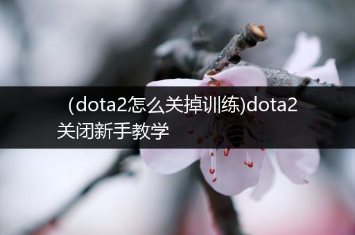 （dota2怎么关掉训练)dota2关闭新手教学