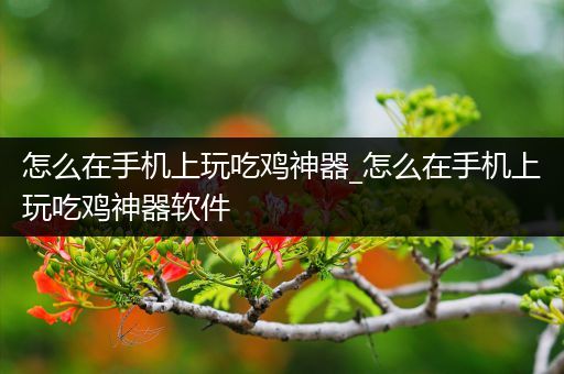 怎么在手机上玩吃鸡神器_怎么在手机上玩吃鸡神器软件