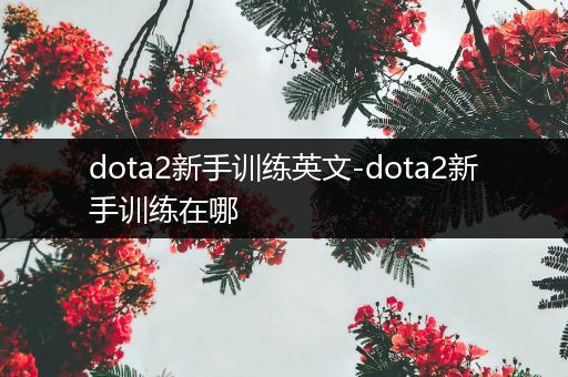 dota2新手训练英文-dota2新手训练在哪