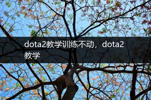 dota2教学训练不动，dota2 教学