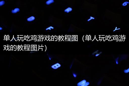 单人玩吃鸡游戏的教程图（单人玩吃鸡游戏的教程图片）