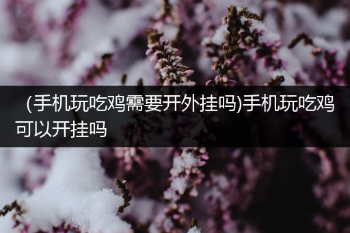 （手机玩吃鸡需要开外挂吗)手机玩吃鸡可以开挂吗