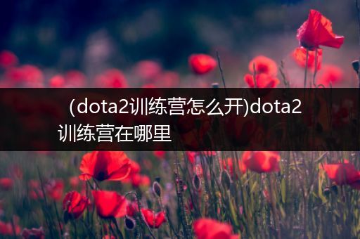 （dota2训练营怎么开)dota2训练营在哪里