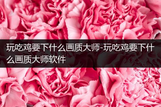 玩吃鸡要下什么画质大师-玩吃鸡要下什么画质大师软件