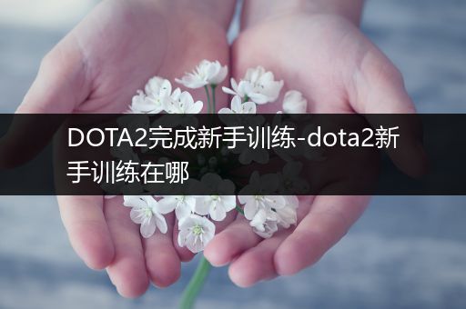 DOTA2完成新手训练-dota2新手训练在哪