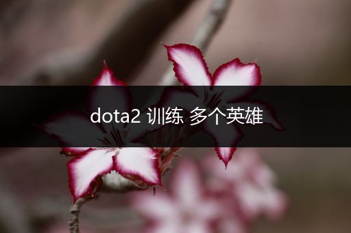 dota2 训练 多个英雄