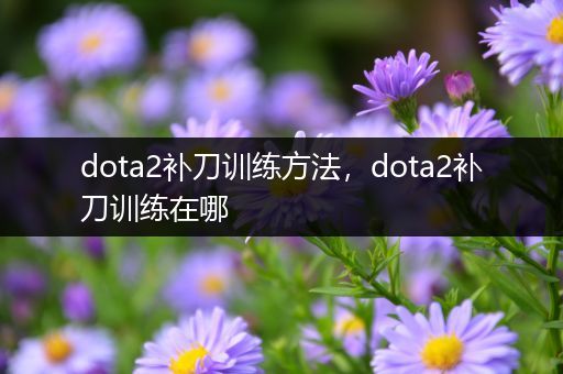 dota2补刀训练方法，dota2补刀训练在哪