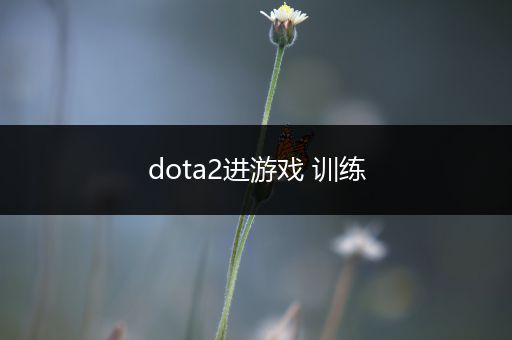 dota2进游戏 训练