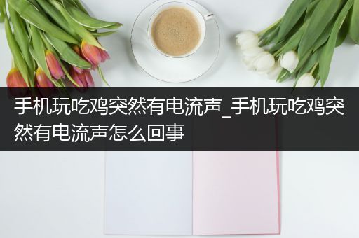 手机玩吃鸡突然有电流声_手机玩吃鸡突然有电流声怎么回事
