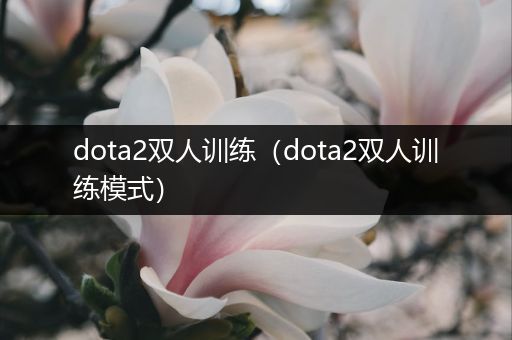 dota2双人训练（dota2双人训练模式）