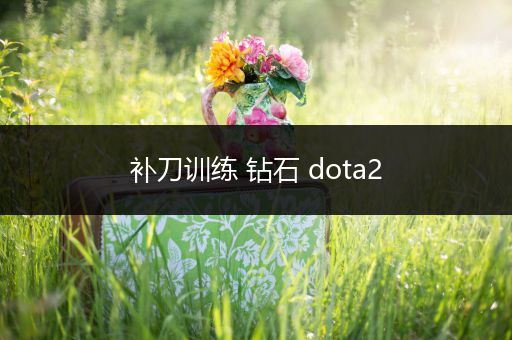 补刀训练 钻石 dota2