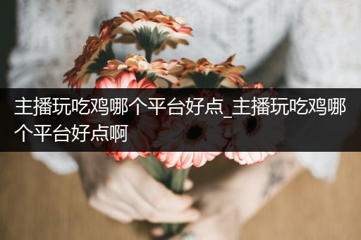 主播玩吃鸡哪个平台好点_主播玩吃鸡哪个平台好点啊
