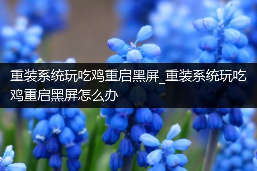 重装系统玩吃鸡重启黑屏_重装系统玩吃鸡重启黑屏怎么办