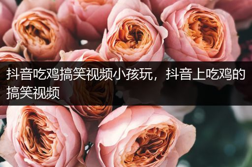 抖音吃鸡搞笑视频小孩玩，抖音上吃鸡的搞笑视频