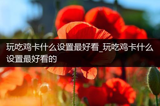玩吃鸡卡什么设置最好看_玩吃鸡卡什么设置最好看的