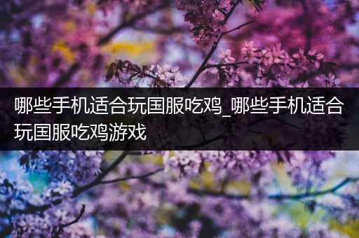 哪些手机适合玩国服吃鸡_哪些手机适合玩国服吃鸡游戏
