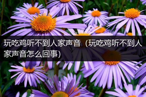玩吃鸡听不到人家声音（玩吃鸡听不到人家声音怎么回事）